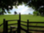 Around Appleby