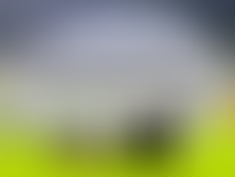 What kind of player becomes a D1 NCAA College Cup player?