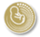 beauprobaby round logo transparent.png