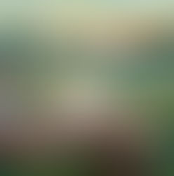 Jesus24365 Weekly #5 | Spiritual Nourishment #2 -Loving God with All Your Heart | Jesus24365 Ministry | Wednesday, December 11, 2024