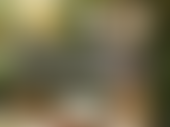 Jesus24365 Weekly #6 | Founder's Reflections #21 - The Freedom and Joy of Advent | Jesus24365 Ministry | Friday, December 13, 2024