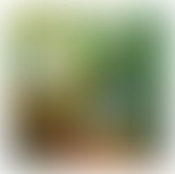 Jesus24365 Weekly #49 | Glimpses of Grace #21 | Pastor Samuel #3 – The Test of Time | Wednesday, April 2, 2025 | Jesus24365 Ministry