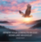 An eagle soaring in the sky, representing God's promise of renewed strength.