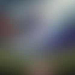 Jesus24365 Daily #10 | Tuesday, November 19, 2024 | Jesus24365 Ministry |Grace in Imperfect Journeys: Finding Transformation Through Faith in Jesus