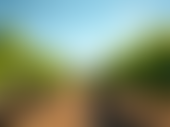 Exploring the Best Wine Regions in South Africa