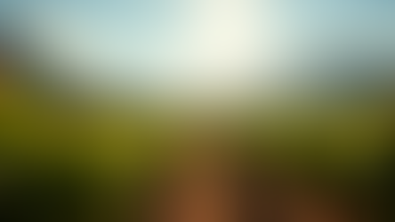 Exploring the Finest Wine Regions in South Africa