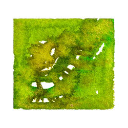 Day 165 Print on Canvas