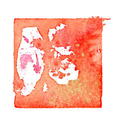 Day 220 Print on Canvas