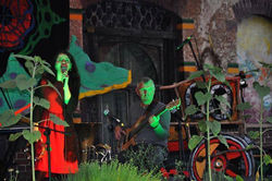 Festival de la Conciencia Colectiva