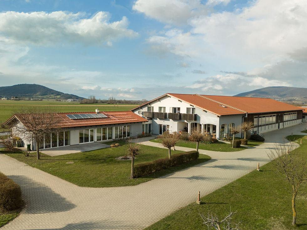 Wolfsthal_Drone_Exterior_01_SM