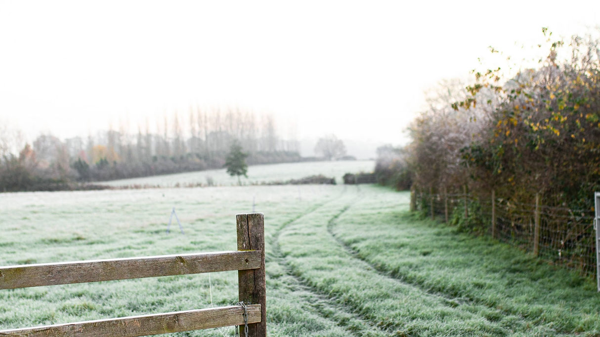 morning-sunrise-country-meadow