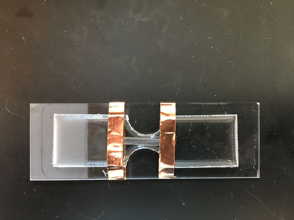 Specimen Sample
