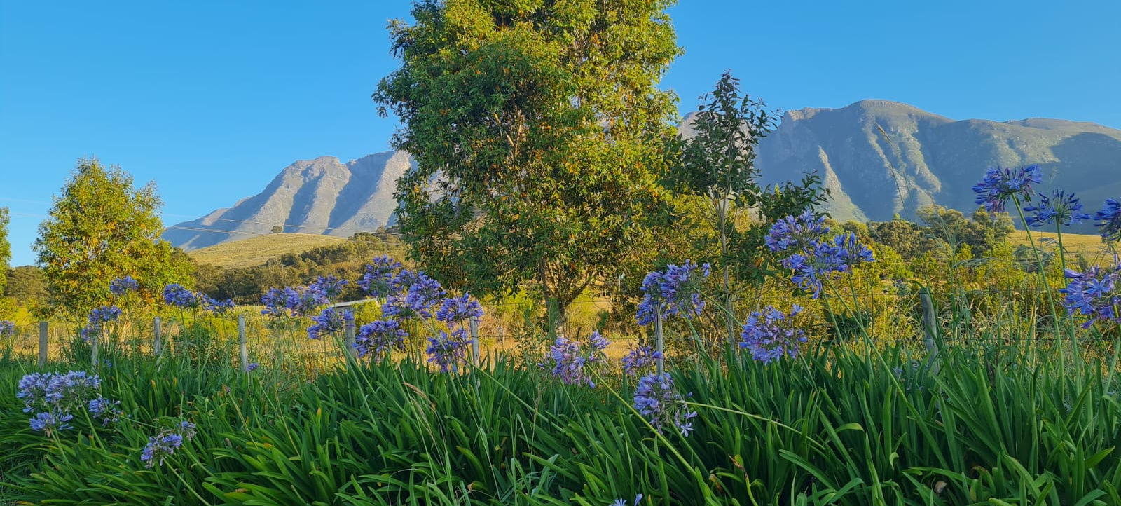 Swellendam Area