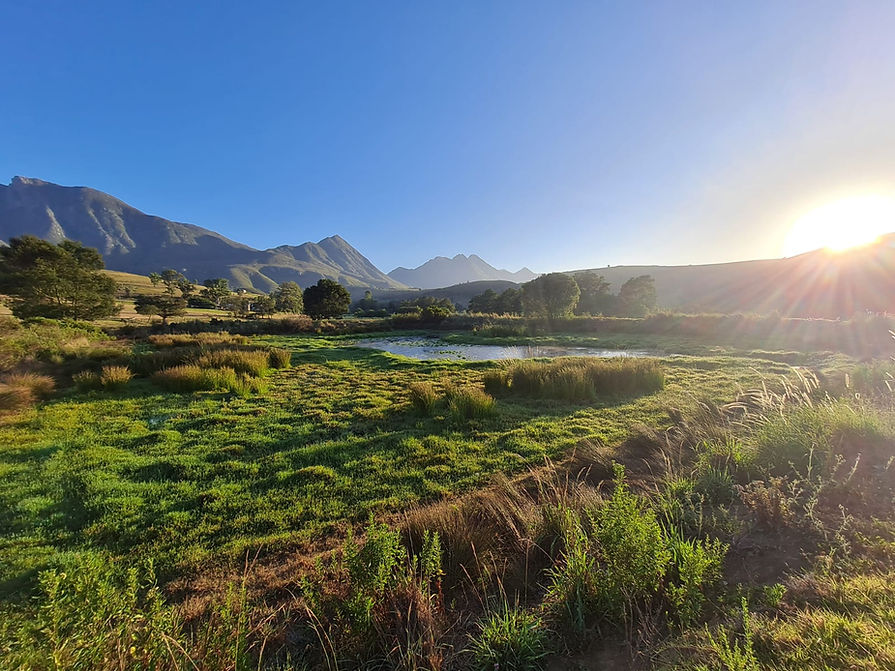Swellendam Area 1.jpg