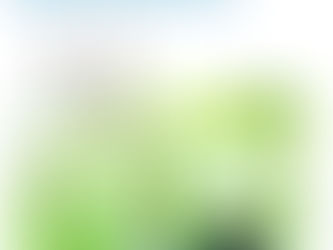 ぜひ観ていただきたい映画があります