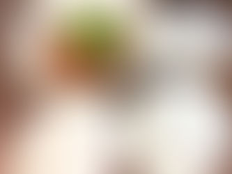 うつわ展2025盛付け3