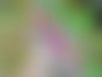美味しいっていうより、うれしい