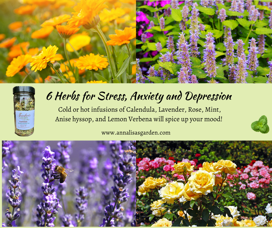 6 Herbs for Stress, Anxiety and Depression