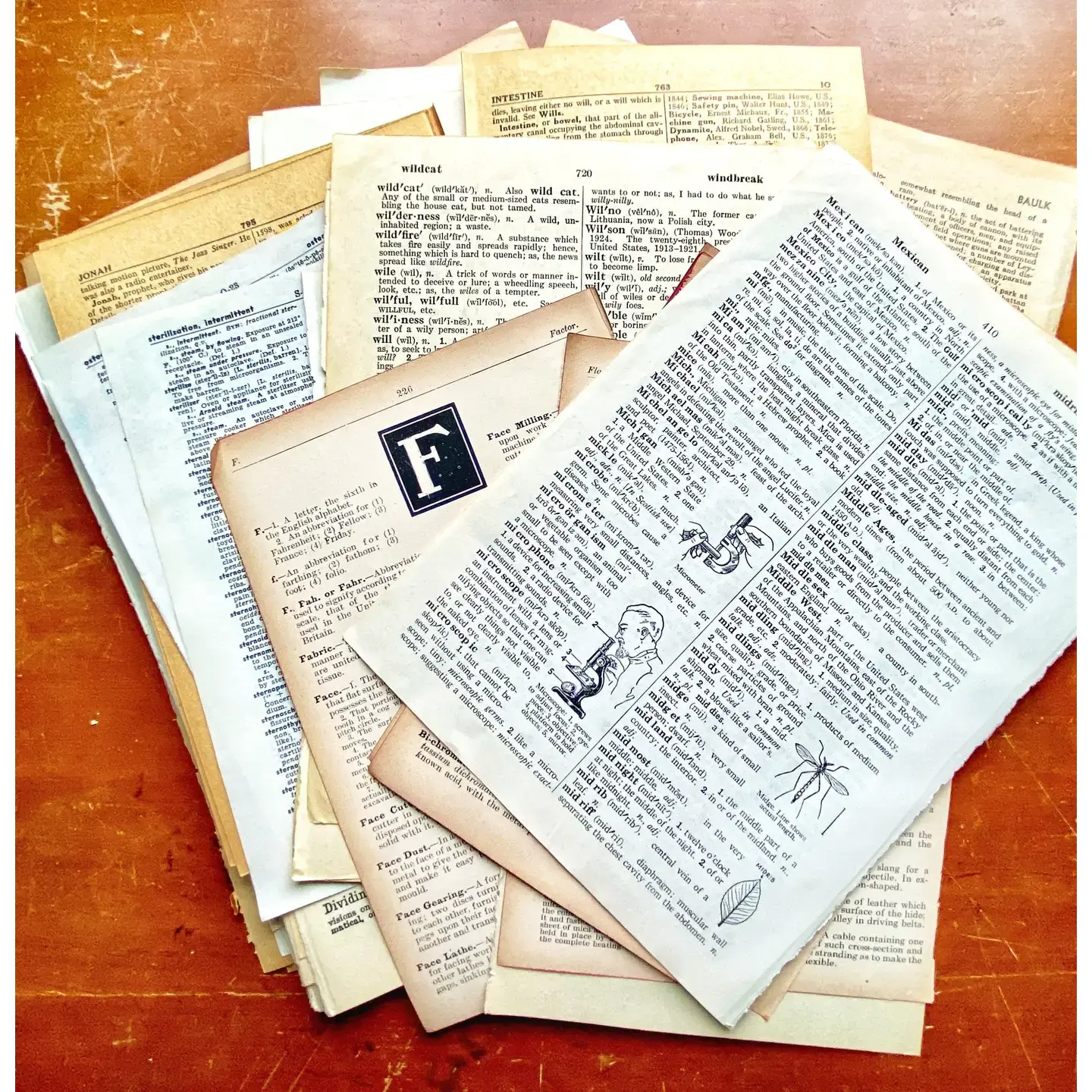 Vintage Dictionary & Encyclopedia Page Bundle