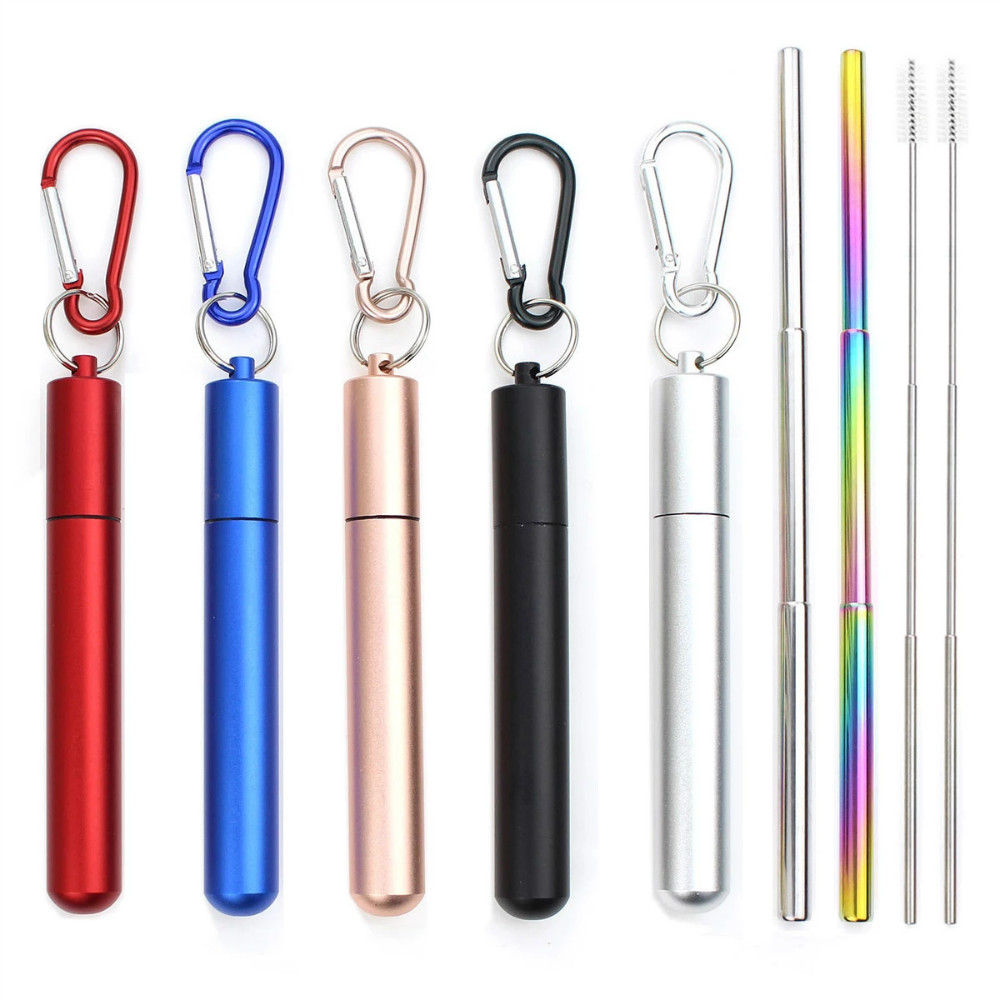 Reusable Straw Set with Case