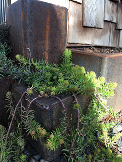 Flower pots, various size