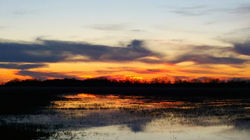 10410919_10208615247247982_5234072731339