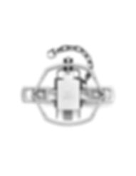 Duke Pro Series 650 OS