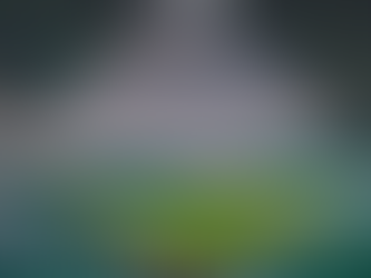 Into the Jungle | Celtic vs Motherwell