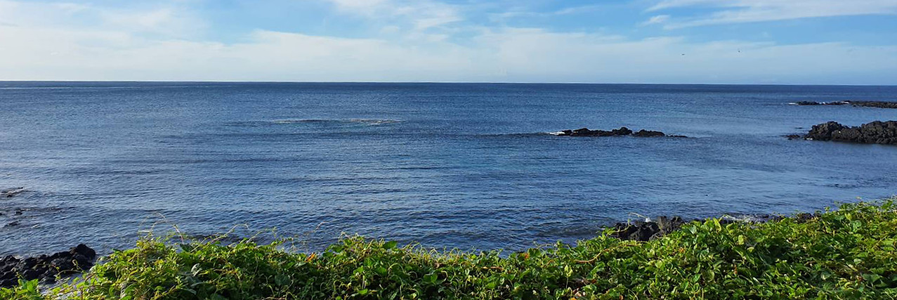 jeju_top-01.jpg