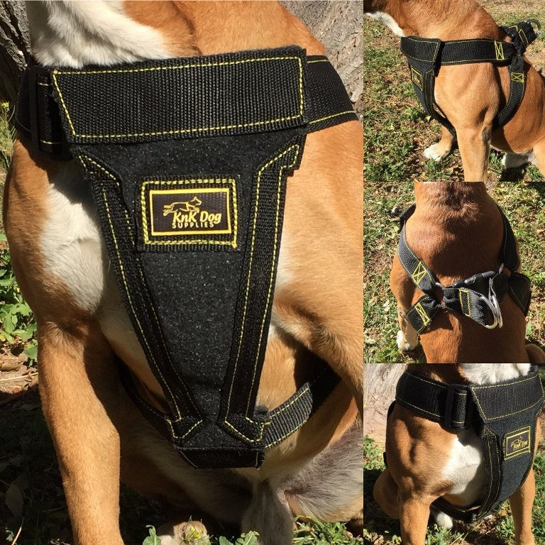 How to choose your Dog Harness Vest?