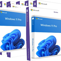 Windows 11 pro bulk.png