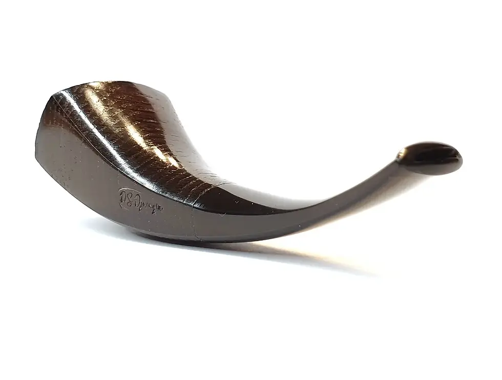 Thumbnail: Morta horn pipe