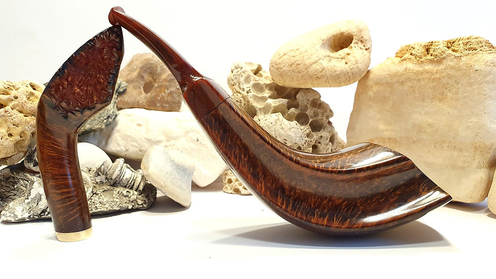 Thumbnail: Natural Devil 2 horn pipe