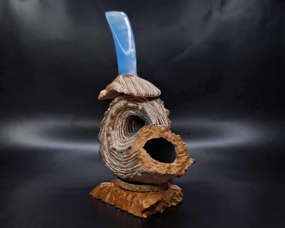 Thumbnail: Sea shell pipe 260/26 
