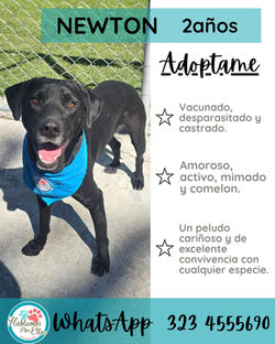 WhatsApp Image 2025-11-06 at 3.36.32 PM