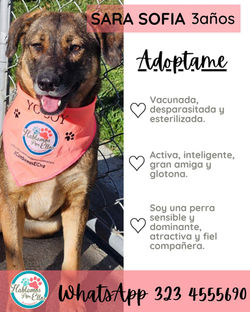 WhatsApp Image 2025-11-06 at 3.15.08 PM (2)