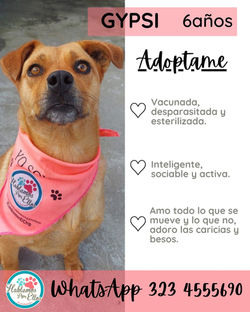 WhatsApp Image 2025-11-06 at 3.15.17 PM