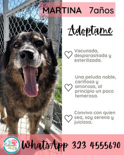 WhatsApp Image 2025-11-06 at 3.15.20 PM