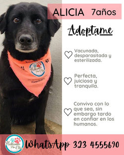 WhatsApp Image 2025-11-06 at 3.15.20 PM (2)