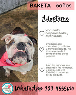 WhatsApp Image 2025-11-06 at 3.15.25 PM (1)