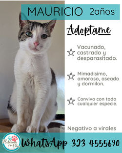 WhatsApp Image 2025-10-30 at 9.10.46 PM