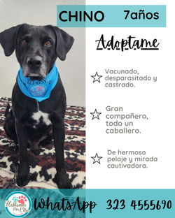 WhatsApp Image 2025-11-06 at 3.36.36 PM (2)