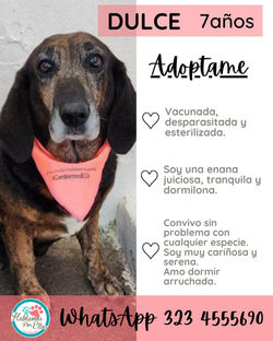 WhatsApp Image 2025-11-06 at 3.15.25 PM