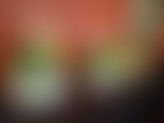 March HNA General Meeting Recap