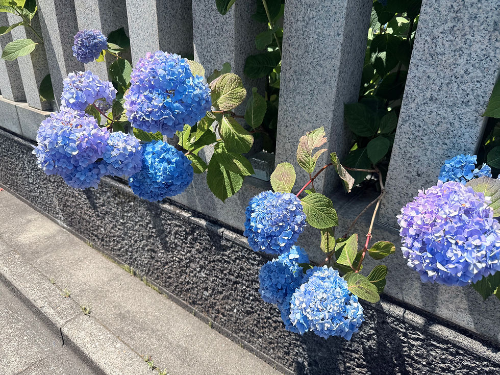 イベント参加のお知らせ