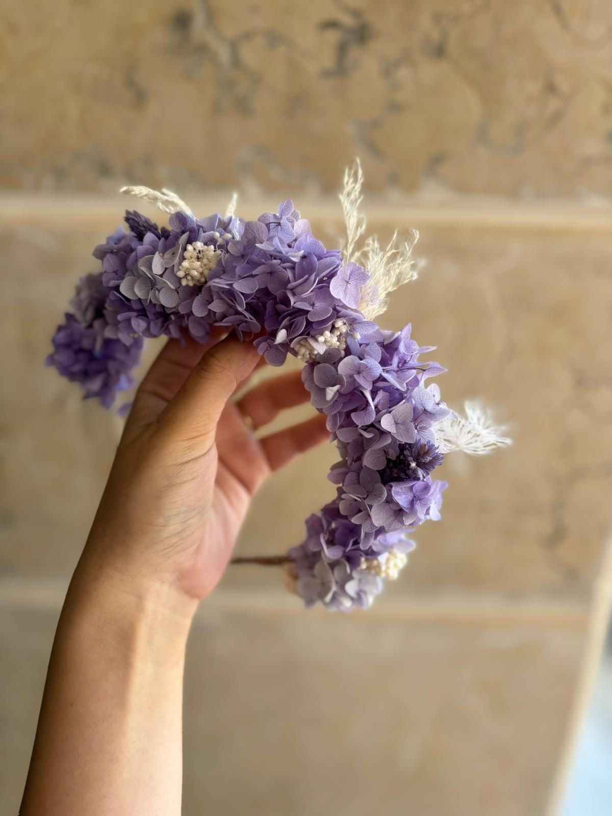 קשת הורטנזיה סגלגלה