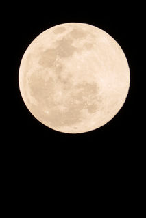 February 8, 2020: Full Moon