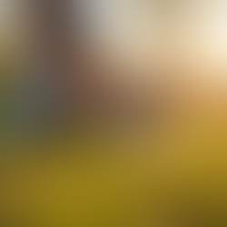 Coaching Philosophy: Supportive Path to Wellness