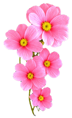 shutterstock_2435953783 7_edited_edited_