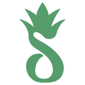 Logo Ananas Thérapie 2